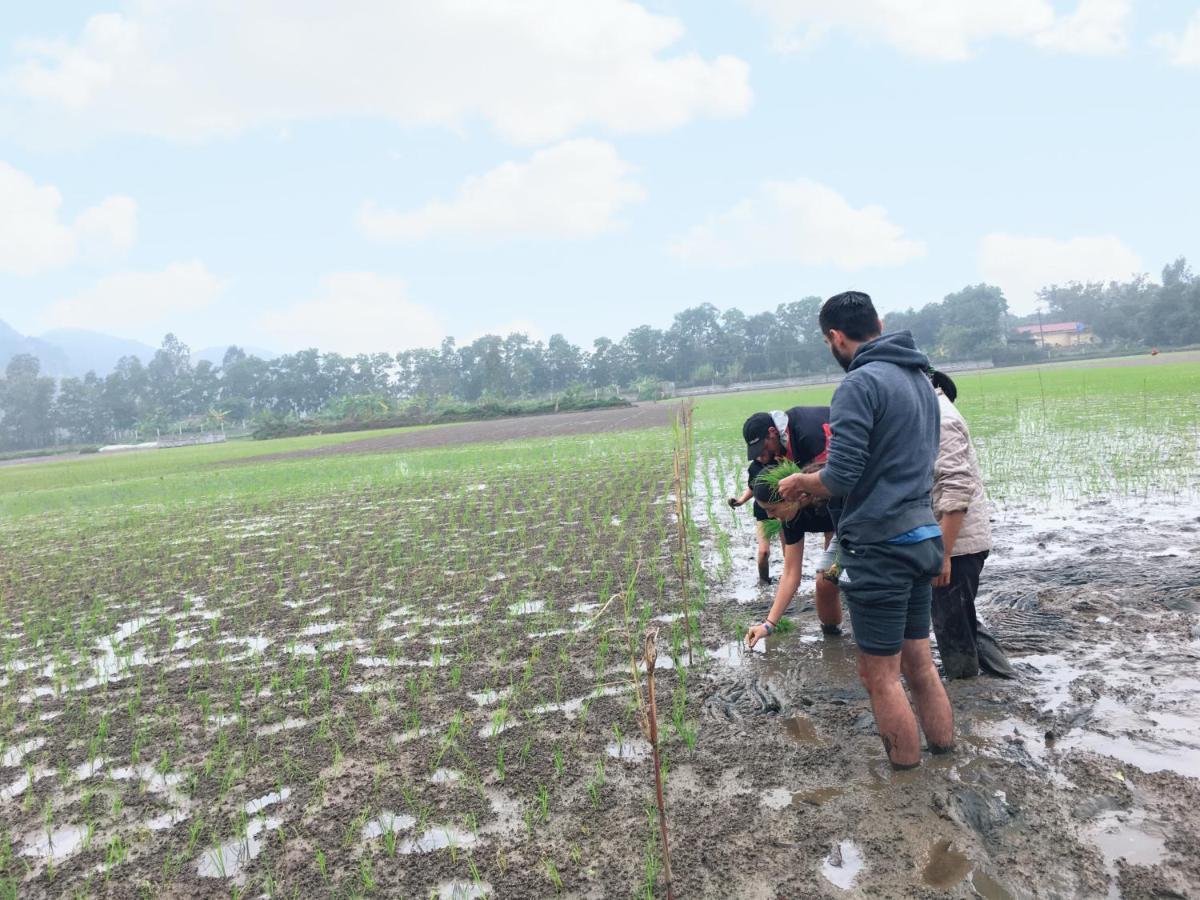 Nam Nhung Tam Coc Homestay Ninh Binh Eksteriør billede